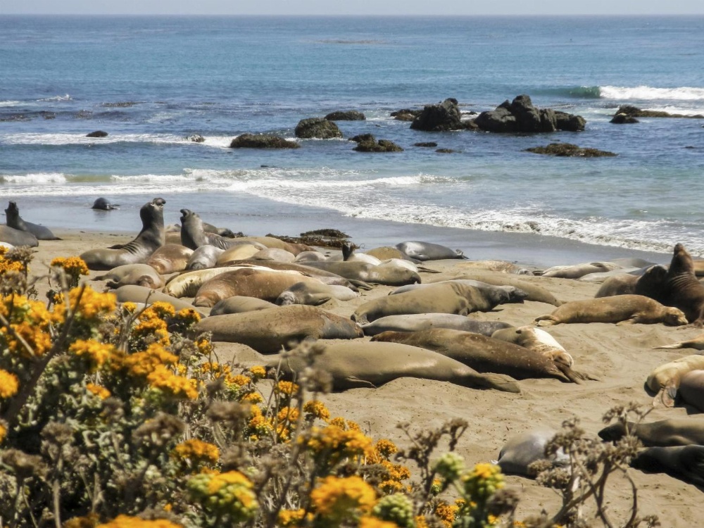 Inn at San Luis Obispo Main image